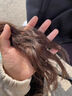 维特丝鱼子酱发膜蛋白营养修复头发防掉发干枯改善毛躁柔顺光泽护发素 实拍图
