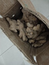 产地直发云南小黄姜新鲜生姜黄姜调味料新鲜蔬菜生鲜 3斤 装 实拍图