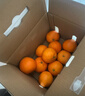 【整箱】爱媛果冻橙约2.5kg 实拍图