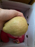 京觅福建红心芭乐 番石榴 应季 低糖孕妇水果 单果150g 净重3斤装 实拍图
