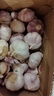 紫白皮蒜水果大蒜超市即食生鲜蔬菜大蒜 【精选】净重 2.8斤 单果3.5-5cm 实拍图