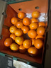 京鲜生 金秋砂糖橘/砂糖桔 5斤 生鲜水果礼盒  实拍图