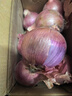 京鲜生 甘肃紫皮洋葱带皮 净重9斤 单果200g+ 新鲜蔬菜源头直发 实拍图