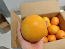 集南鲜 赣南脐橙 江西橙子新鲜现摘水果脐橙时令生鲜水果甜橙 水果礼盒 净重9斤 精品橙 单果160-220g 实拍图