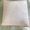 恒源祥纯棉抱枕芯 万能方形沙发靠垫内胆 45 50 55枕头芯酒店单只一对装 单只装-普通款 45cm*45cm 含枕芯 实拍图