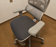 Ergonor保友金豪b雄鹰 人体工学椅 电脑椅 电竞椅办公椅子可躺老板椅 【金豪b雄鹰】银白(云感科技座垫)+躺舒宝 实拍图