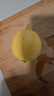 广东香水黄柠檬新鲜柠檬奶茶店专用香水黄柠檬水果产地源头直发 （带箱1斤）香水柠檬黄果单果70g起 实拍图