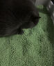 怡亲（YOKEN）混合豆腐膨润土猫砂奶香祛味结团低尘猫砂盆猫沙猫咪用品2.5kg*6 实拍图