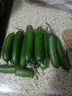 京喜加新鲜无刺水果小黄瓜小青瓜脆甜荷兰脆嫩生吃黄瓜蔬菜 水果黄瓜 2斤 带箱活动 实拍图