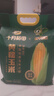 十月稻田 四平黄糯玉米 3.52斤(220g*8根)东北玉米棒 低脂早餐 零食 实拍图