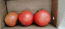【超市精选】山东沙瓤水果西红柿新鲜番茄蔬菜减肥单果100g起 西红柿中大果 3斤 带箱 实拍图