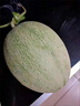 黄六爷正宗哈密瓜9斤新鲜水果网纹玲珑蜜静冈冰淇淋西州蜜甜瓜整箱包邮 3斤【1-2个果】爆甜多汁 实拍图