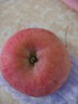 京鲜生 烟台红富士苹果 净重5斤  单果190g起 水果礼盒 实拍图