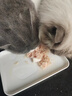 馋小汪猫罐头整箱猫咪零食罐成幼猫营养湿粮鸡肉丝高汤罐85克整箱猫零食 鲜享滋润【鸡肉+三文鱼】 24罐【囤货超值装】 实拍图