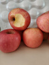 京鲜生 烟台红富士苹果 净重10斤  单果160g以上 水果礼盒 实拍图