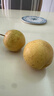 樱慕晴【JD地标认证】正宗辽宁鞍山南果梨东北特产南国梨香水梨新鲜水果 【普装特大果黄梨】约20枚 4.5斤 实拍图