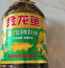 金龙鱼 食用油 【保真菜籽油】非转基因 物理压榨 纯香低芥酸菜籽油5L 实拍图