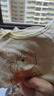 童泰新生儿半背衣婴儿衣服纯棉四季0-3月宝宝上衣满月服2件装 黄色 52 实拍图