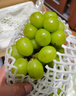 京鲜生 阳光玫瑰葡萄 青提6斤礼盒装 单果约10g 生鲜水果 新鲜水果 实拍图