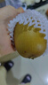 佳沛（zespri）新西兰  阳光金奇异果18粒礼盒优选果单果约101-124g 猕猴桃水果 实拍图