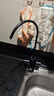 瑞美（Rheem）弱碱性水家用净水器 厨下净水过滤器 饮水机RO反渗透 净水器厨房专用台下用 净水机 【弱碱热水2件套装】净水器+管线机 实拍图