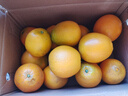 玖原农珍 赣南脐橙新鲜橙子含箱10斤净重9斤优选果150-300g 年货水果礼盒 实拍图