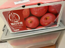 京鲜生 山东栖霞红富士苹果精品12粒 单果190g-240g  水果礼盒 实拍图