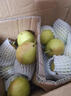 京鲜生安徽砀山红香酥冰糖梨 4.5斤装 单果130g+ 生鲜水果源头直发 实拍图