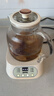 WIFER养生壶烧水壶热水壶恒温壶养生烧水壶煮茶壶煮茶器泡茶壶一体机全自动玻璃保温小家用 【带茶漏款】240分钟恒温+涂层发热盘 1.2L 实拍图