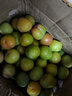 四川半边红脱骨李脆李孕妇水果新鲜直发 单果20g+ 带箱5斤 实拍图