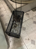 楚婕雅老鼠笼捕鼠笼家用老鼠夹子自动捕鼠器老鼠一窝端神器驱捉抓灭鼠器 实拍图