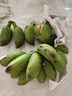 新鲜现摘香蕉小米蕉青皮发货放熟吃新鲜水果 小米蕉 2斤 实拍图