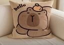 慢说抱枕沙发靠枕飘窗睡觉靠背垫卡通枕套可拆洗含抱枕芯内胆 50*50cm 实拍图