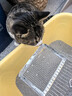 甜浪海金属猫砂铲非不锈钢猫屎铲细孔小孔猫咪铲屎神器猫砂盆铲宠物用品 实拍图