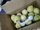 鲜青录广西黄金百香果钦蜜9号新鲜水果黄色白香果西番莲鸡蛋果 净重3斤（单果40-60g） 实拍图