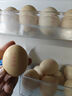 1号会员店One's Member叶黄素可生食标准鲜鸡蛋 20枚 单枚55g 源头直发 实拍图