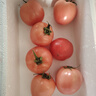 京鲜生沙瓤粉西红柿 净重3斤 单果100g+果菜两吃 源头直发 【搜生鲜馆】 实拍图