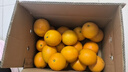 玖原农珍 赣南脐橙当季采摘优选橙子年货礼盒水果 净果9斤普通箱精选果200-300g 实拍图