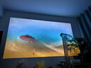 极米Z9X 4K 全新轻薄4K光学变焦投影 1300CVIA真实高亮 家用智能投影仪高清家庭影院云台 国家补贴 实拍图