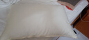 霞珍酒店枕头全棉羽毛枕 柔软鹅毛枕芯 单只装48*74 实拍图