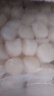 北海湾 贝柱 新鲜现剥扇贝丁扇贝柱冷冻瑶柱贝肉刺身冰鲜大号元贝柱 大号贝柱 1kg(净重) 实拍图