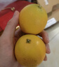 褚橙 云南冰糖橙  优级果 L 10斤装 单果约130g起 生鲜水果礼盒 实拍图
