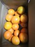 集南鲜 赣南脐橙 江西橙子新鲜现摘水果脐橙时令生鲜水果甜橙 水果礼盒 净重9斤 精品橙 单果160-220g 实拍图