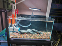 森森 超白玻璃小鱼缸HWK-600P裸缸款水草缸金鱼缸小型水族箱水草缸  实拍图