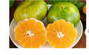 京鲜生 无核蜜桔 精选5斤装橘子/桔子  单果80g+ 生鲜水果礼盒 实拍图