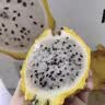 优味集燕窝果麒麟果【顺丰JD】应季新鲜水果海南黄色火龙果白心水果生鲜 1000g 商超A+级精品果（单果100g+） 实拍图