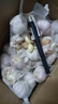 大蒜头出口品质网兜紫蒜蔬菜调料新鲜大果烧烤火锅食材 【精品网兜装】5斤装 2300g 实拍图
