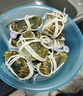 【活蟹】蟹宗鲜活大闸蟹现货全母3.0-3.3两8只水产生鲜螃蟹鲜活海鲜礼盒节日送礼礼品 实拍图