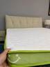 红蜻蜓（RED DRAGONFLY）乳胶床垫1.5米x2.0米记忆棉软垫家用卧室榻榻米垫子海绵租房专用 印花双拼-白绿【厚约6cm】 双人床-150x200cm【不易塌陷】 实拍图