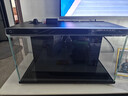 米家（MIJIA）小米米家智能生态鱼缸还原自然生态补仓一次三月无忧出差旅行必备 实拍图